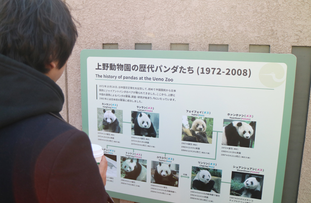 上野動物園の歴代パンダをお勉強。現在はシンシンとリーリーの2頭がいる
