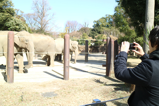 ピエール氏めっちゃ楽しそう。大迫力のアジアゾウをこんな近くで見られるのも上野動物園の魅力