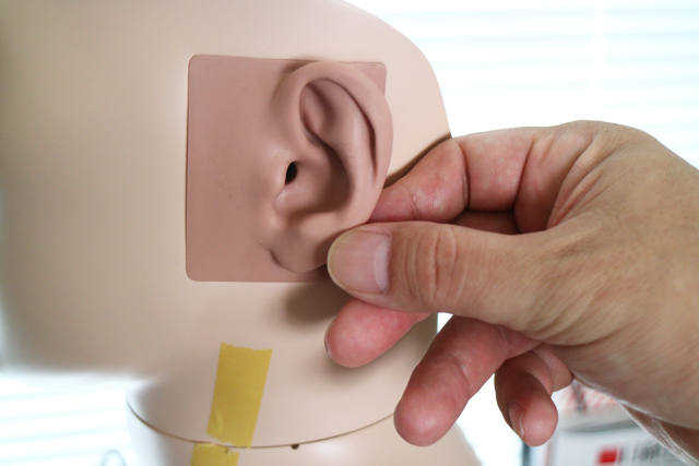 プニプニした耳が付いているため、ヘッドホンを付けたときの耳の動きも計測に反映することができるという