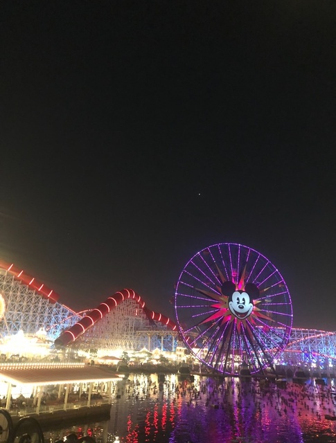 『カリフォルニア ディズニーランド・リゾート』の夜景