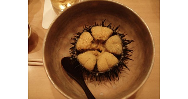 掟ポルシェの食尽族】第14回：ウニのオスメスの見分け方＆震えるほど